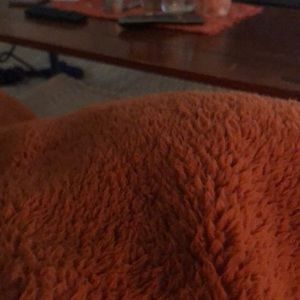 Meet your Posher, Judith